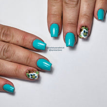 Load image into Gallery viewer, Multigel Teal