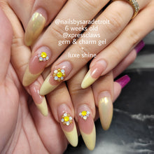 Load image into Gallery viewer, Luxe Shine