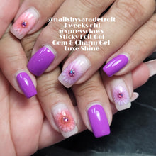 Load image into Gallery viewer, Luxe Shine